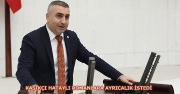 Kaşıkçı Hataylı romanlara ayrıcalık istedi