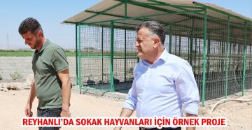 REYHANLI’DA SOKAK HAYVANLARI İÇİN ÖRNEK PROJE